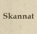 skannat-knapp.jpg (3286 bytes)